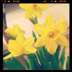 1897973_662271070487481_1466761241_n